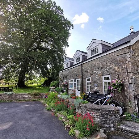 Cilybebyll Swansea Valley Holiday Cottages מראה חיצוני תמונה