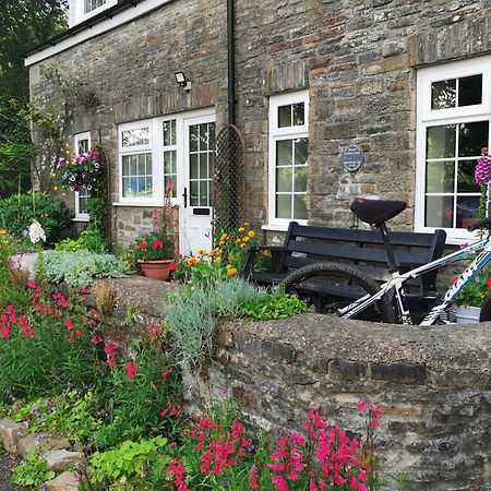 Cilybebyll Swansea Valley Holiday Cottages מראה חיצוני תמונה