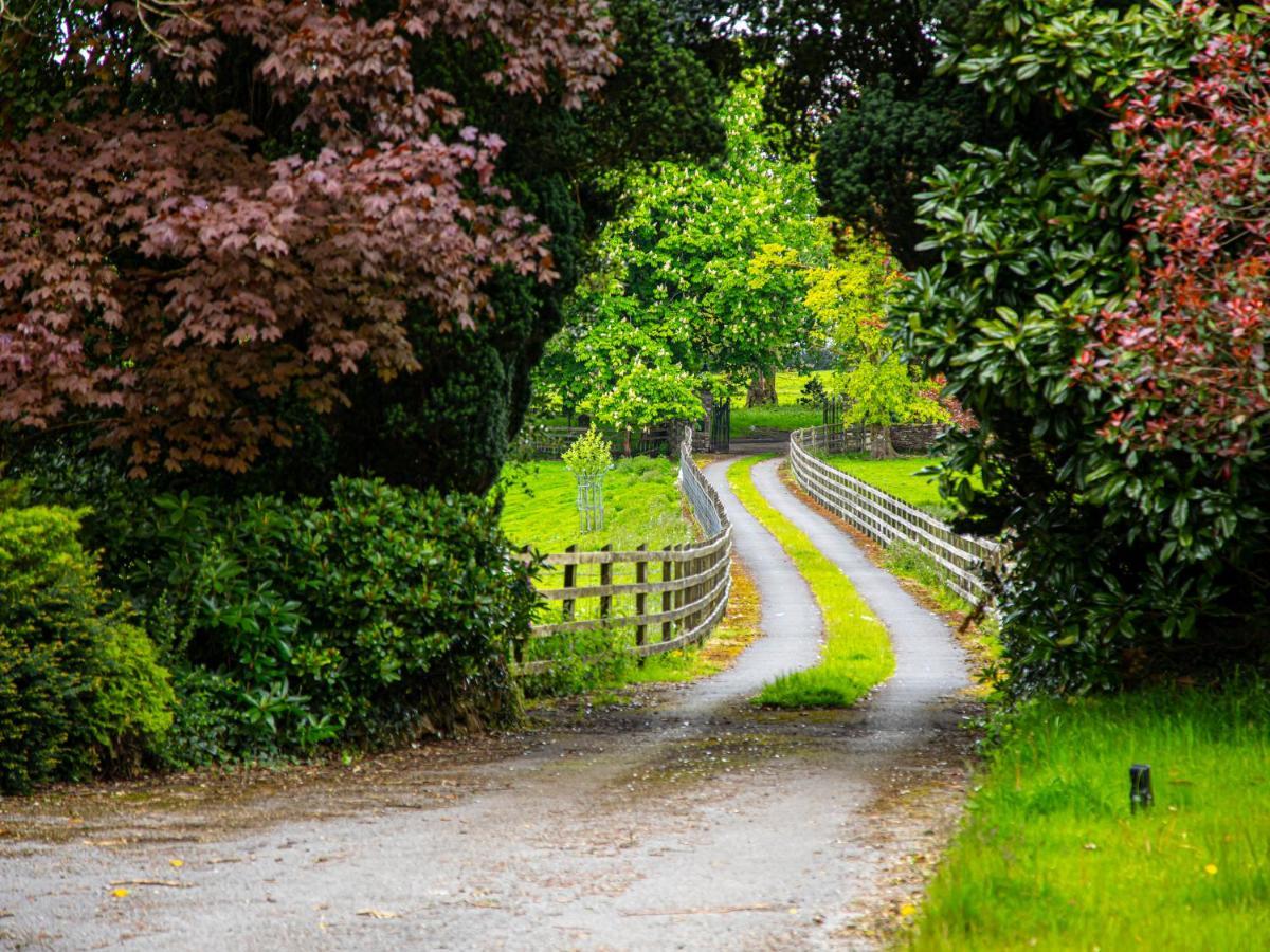 Cilybebyll Swansea Valley Holiday Cottages מראה חיצוני תמונה