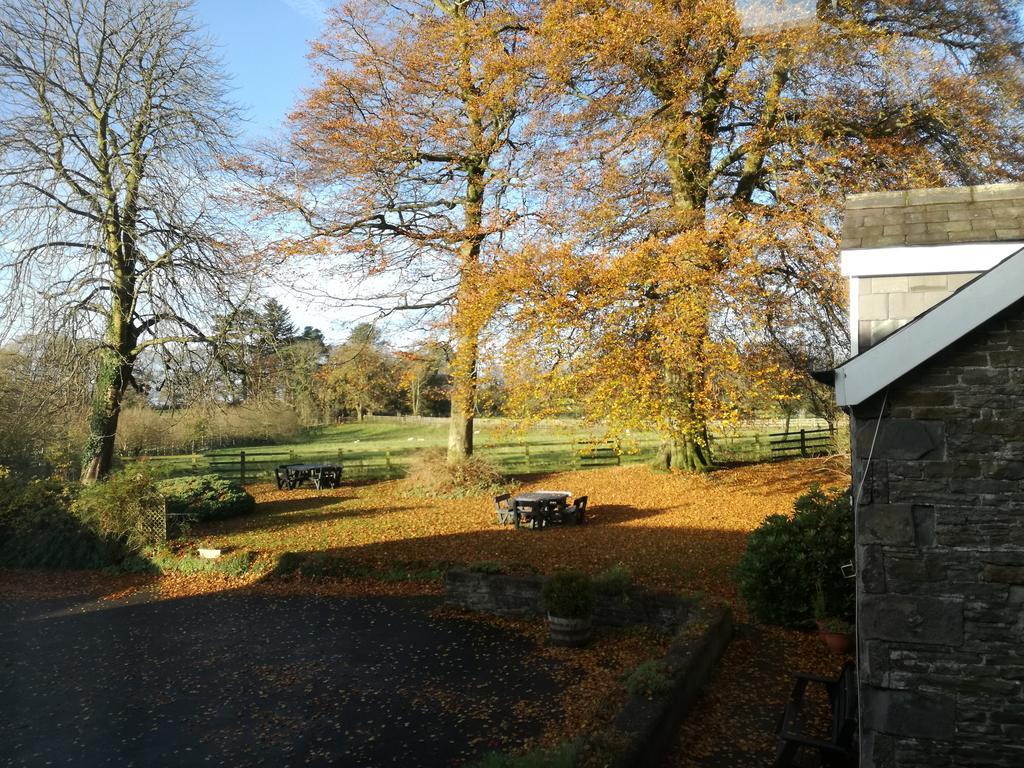 Cilybebyll Swansea Valley Holiday Cottages מראה חיצוני תמונה